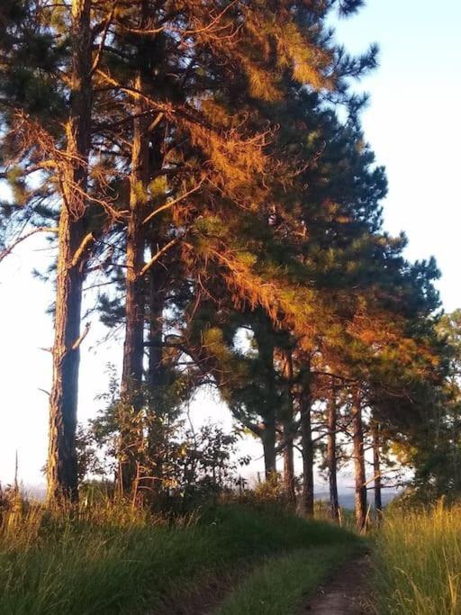 Chale Aconchegante Em Estancia Climatica Санту-Антониу-ду-Лейти Экстерьер фото